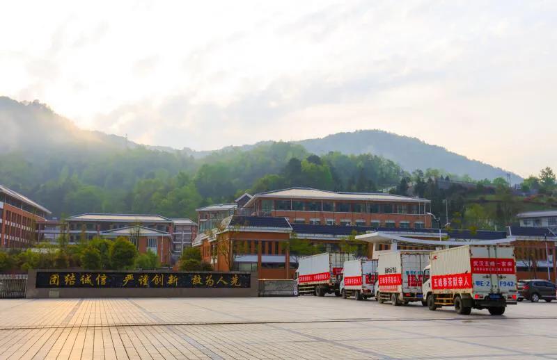 六万份春茶送达武汉,五峰爱心春茶送武汉