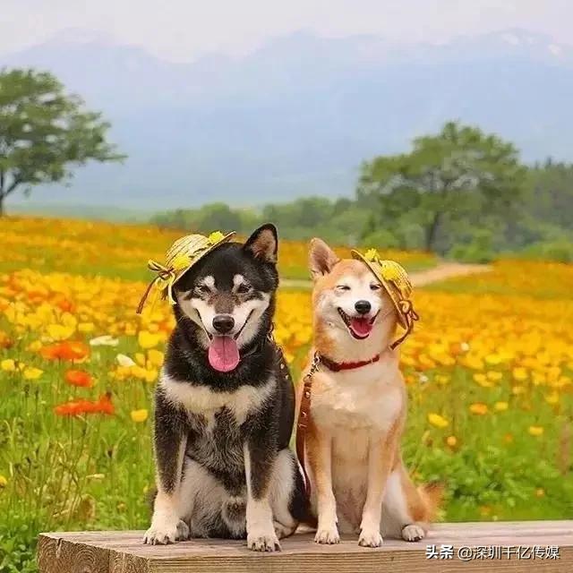 2021年十大词汇热词,2021年流行的网络热词有哪些