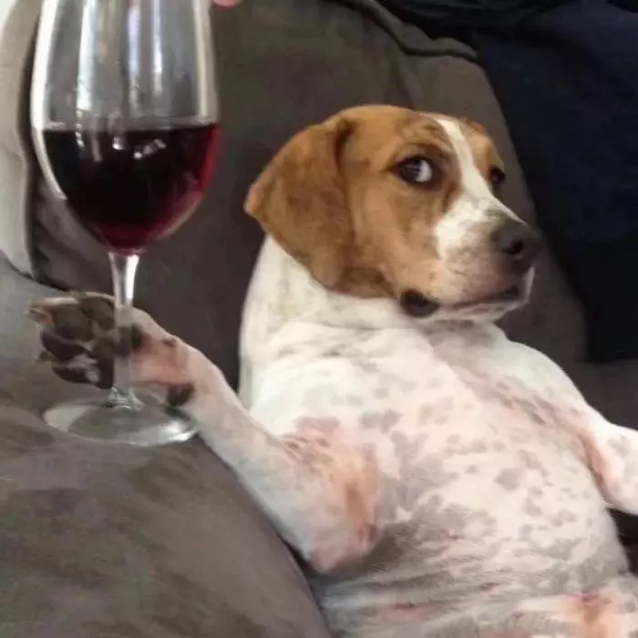 奥特莱斯会卖假鞋吗,奥特莱斯卖的品牌会假吗