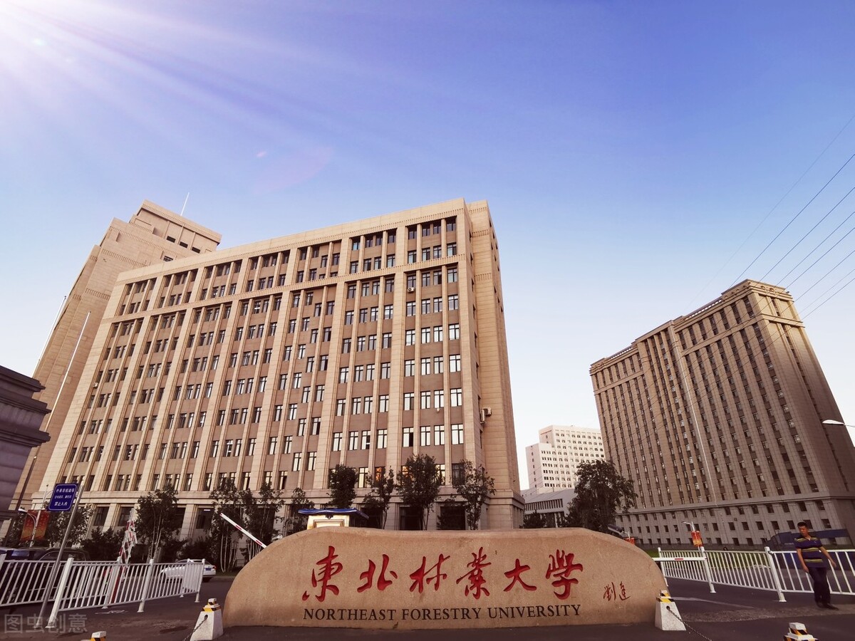 东北大学新增博士学位授权单位,全国博士学位授权高校名单