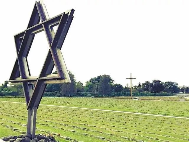 选择包容和理解,选择宽容作文