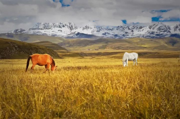 川西最美景点排行榜,四川冬季除了川西能去哪里
