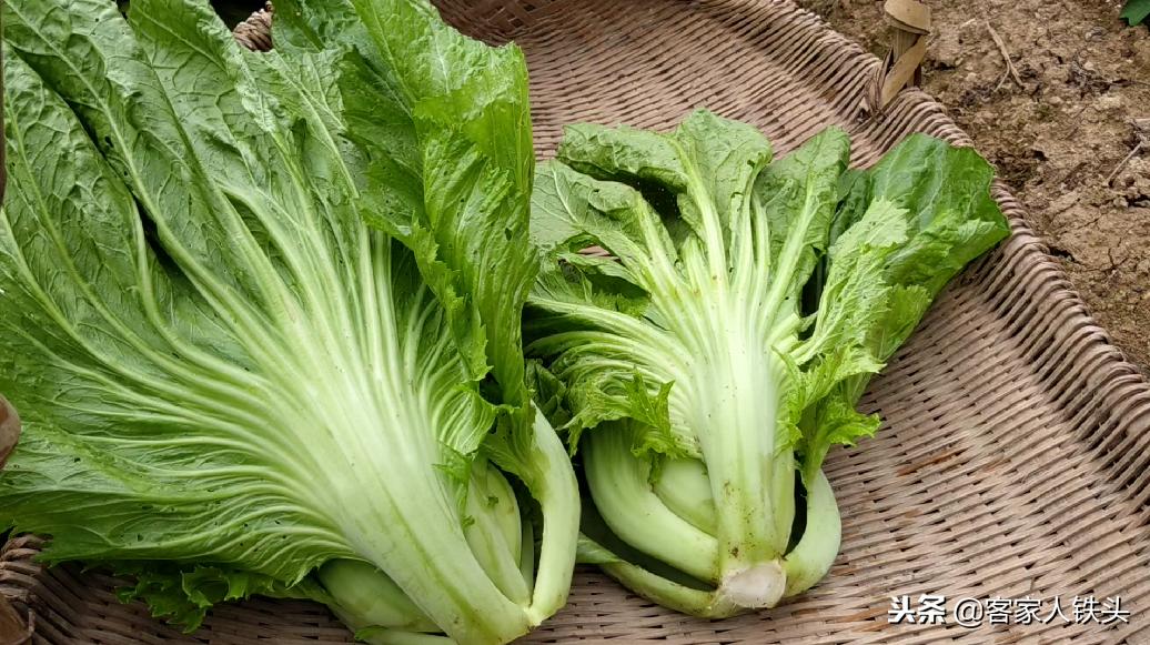 干菜农家自制干货,纯手工制作农家菜干