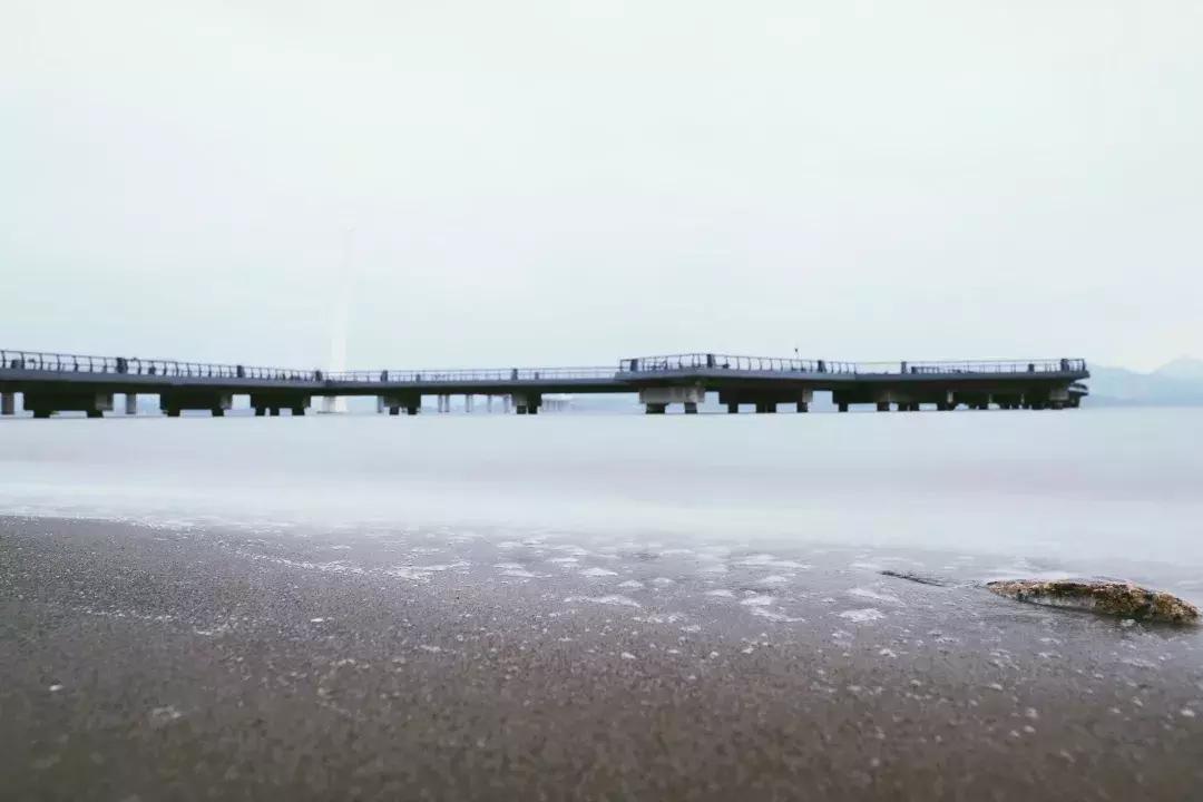 深圳湾公园这里有什么好吃的,深圳湾在哪里