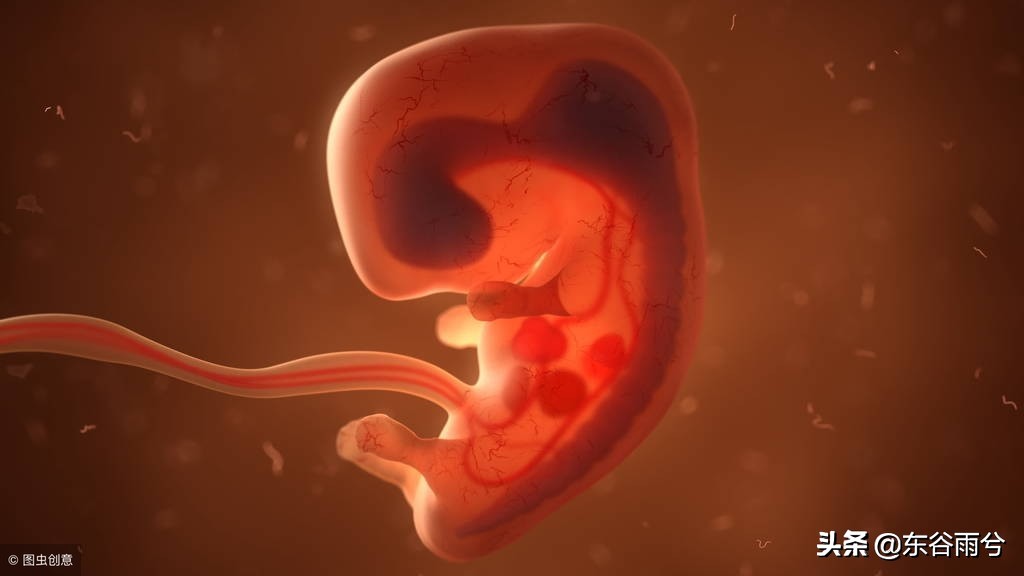 怀胎十月胎儿发育标准注意事项,怀胎十月宝宝发育视频