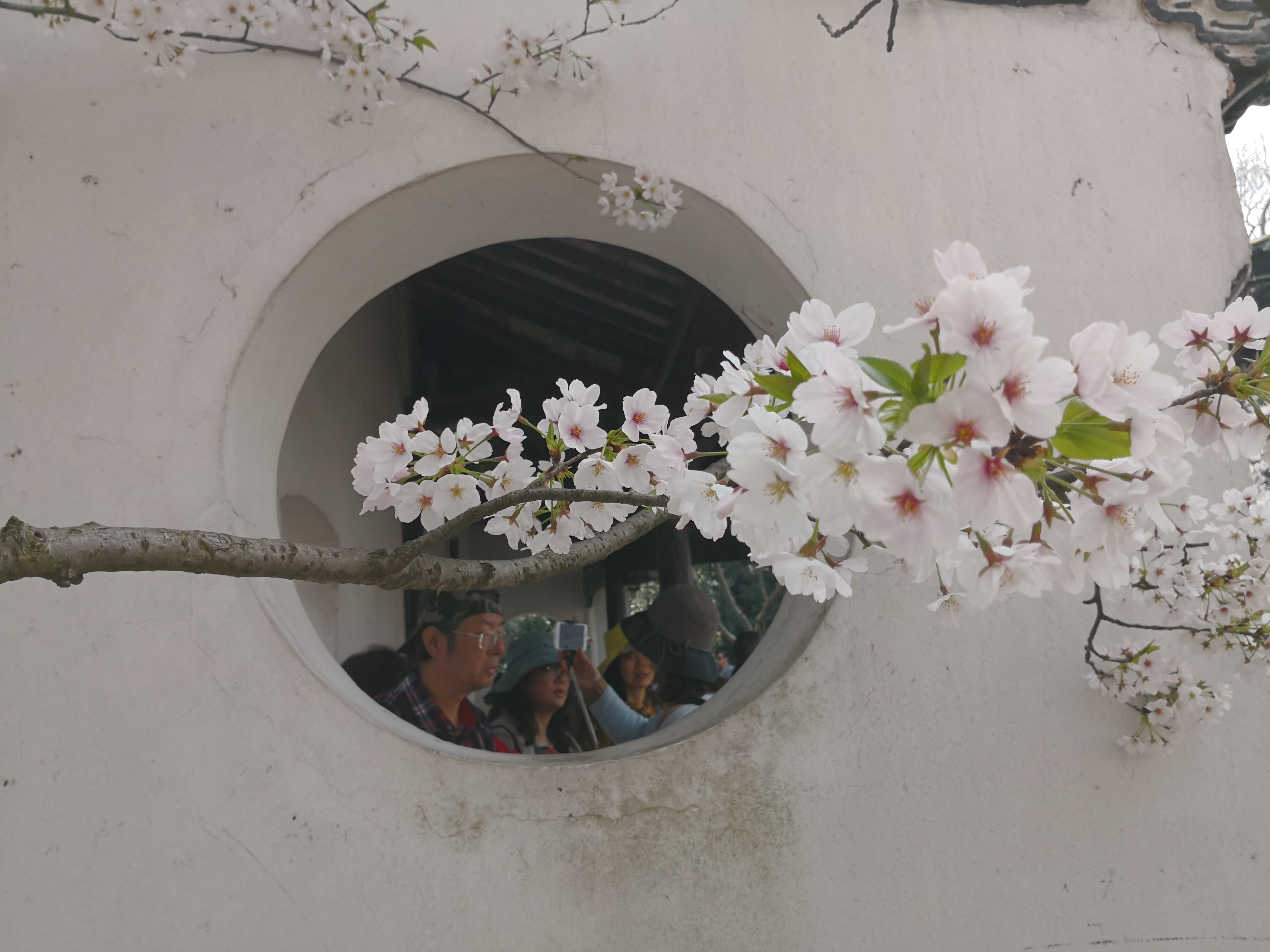 你心中的江南是怎样的？余光中笔下的江南：是山水是爱人是母亲