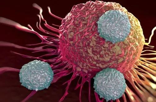 口唇疱疹好了上嘴唇又起泡结黄痂,嘴角疱疹和上火长泡的区别