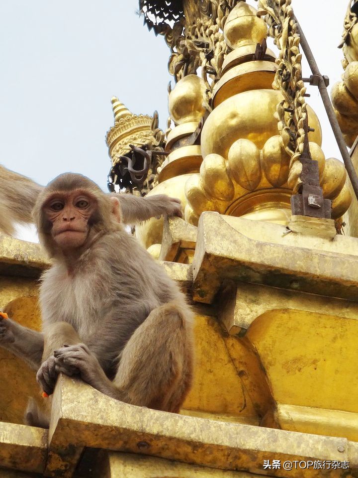 从哪里直飞尼泊尔,长沙飞尼泊尔攻略