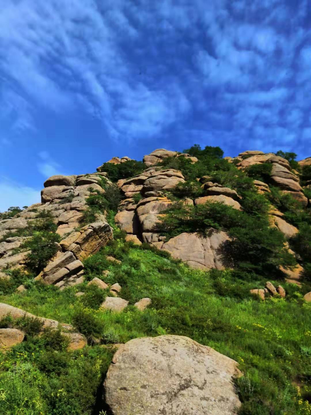 内蒙黄花沟草原游记,黄花沟草原介绍
