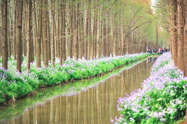 中国最美乡村Top10，有你家乡吗？