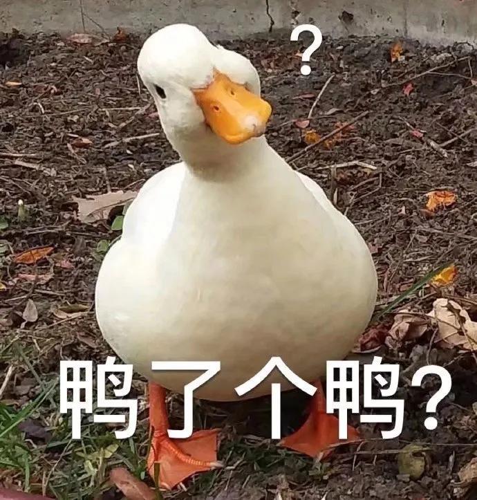 古诗词方言版东北,方言版本古诗词