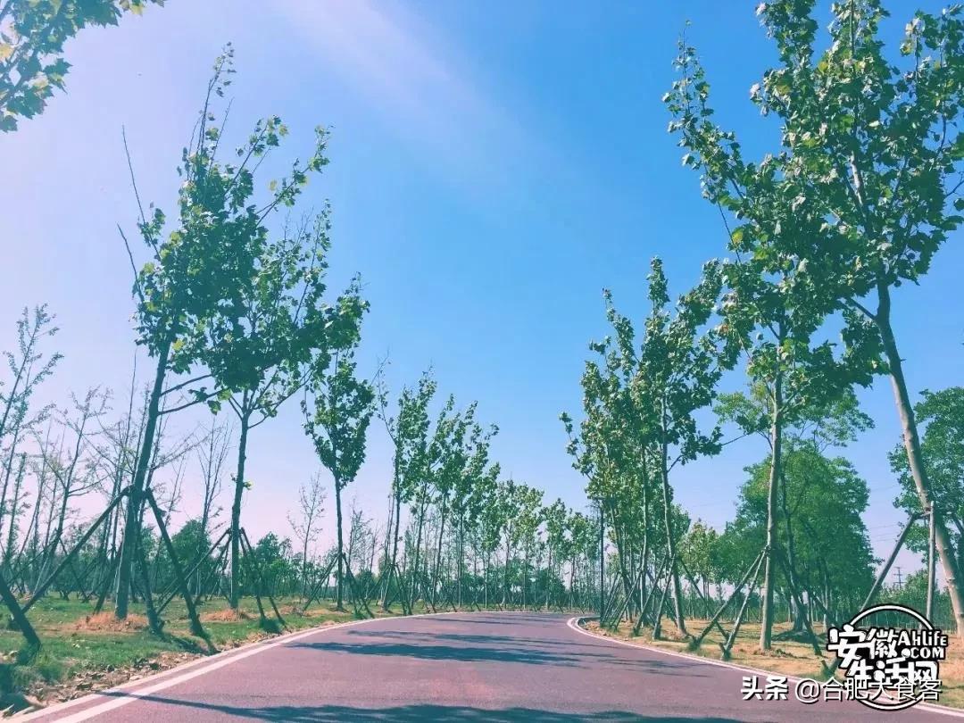 2020年,在这50个地方遇见不一样的合肥