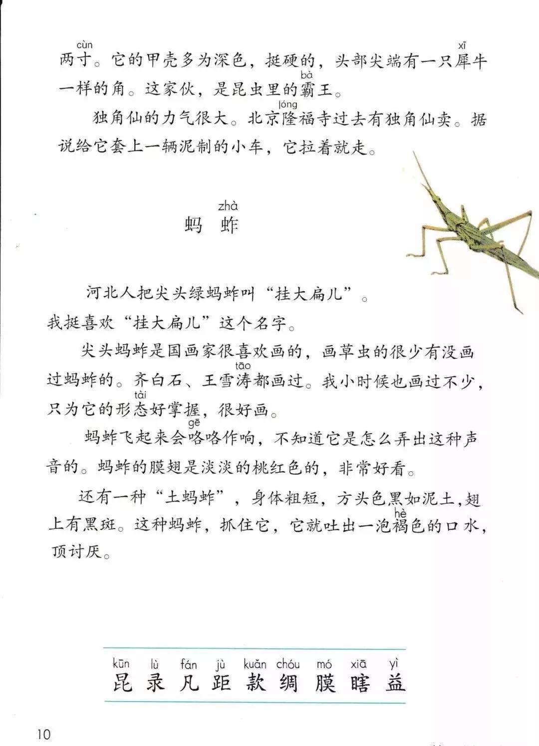 部编版三年级下册电子课本,部编版三年级下册课文详解