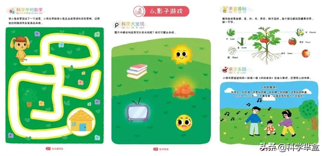 幼儿园科学领域公开课怎么上,幼儿园科学课怎么上最成功