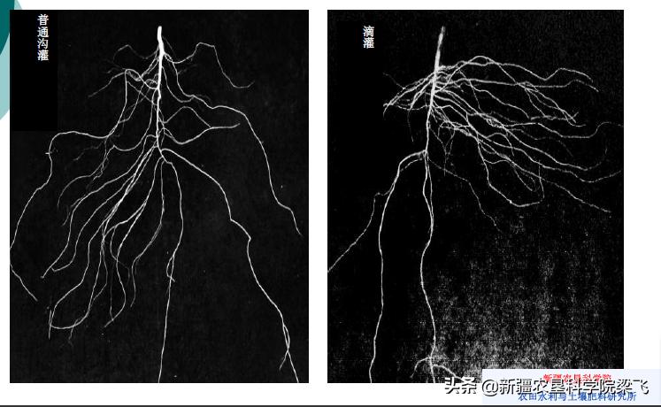 什么能化解土壤里的磷肥,磷肥怎样不板结