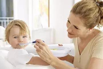 0-1岁科学喂养,0-1岁泰迪如何喂养