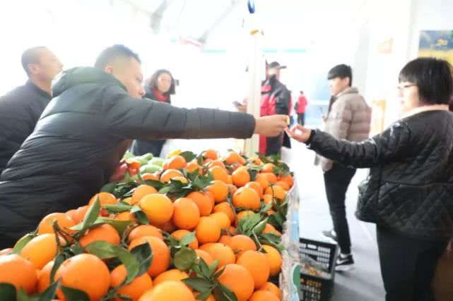 金沙滩啤酒城年货节,金沙滩啤酒城年货节图片