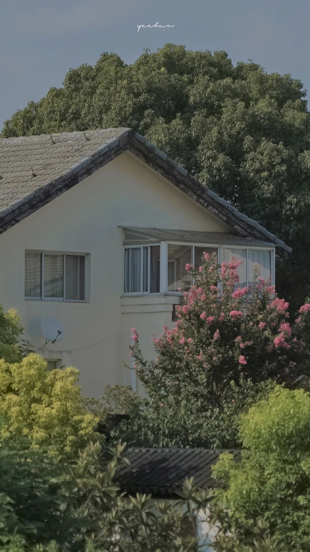 微信可爱聊天背景图壁纸,有趣的聊天背景图片壁纸