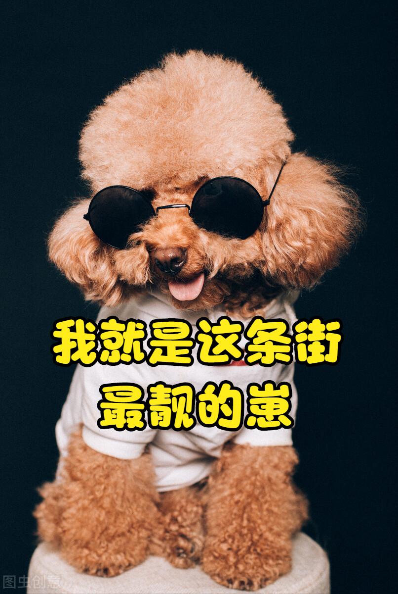 考广告学有必要吗,学广告学专业烧不烧钱