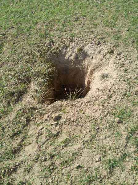 楼兰盗墓案全集,楼兰盗文物大案