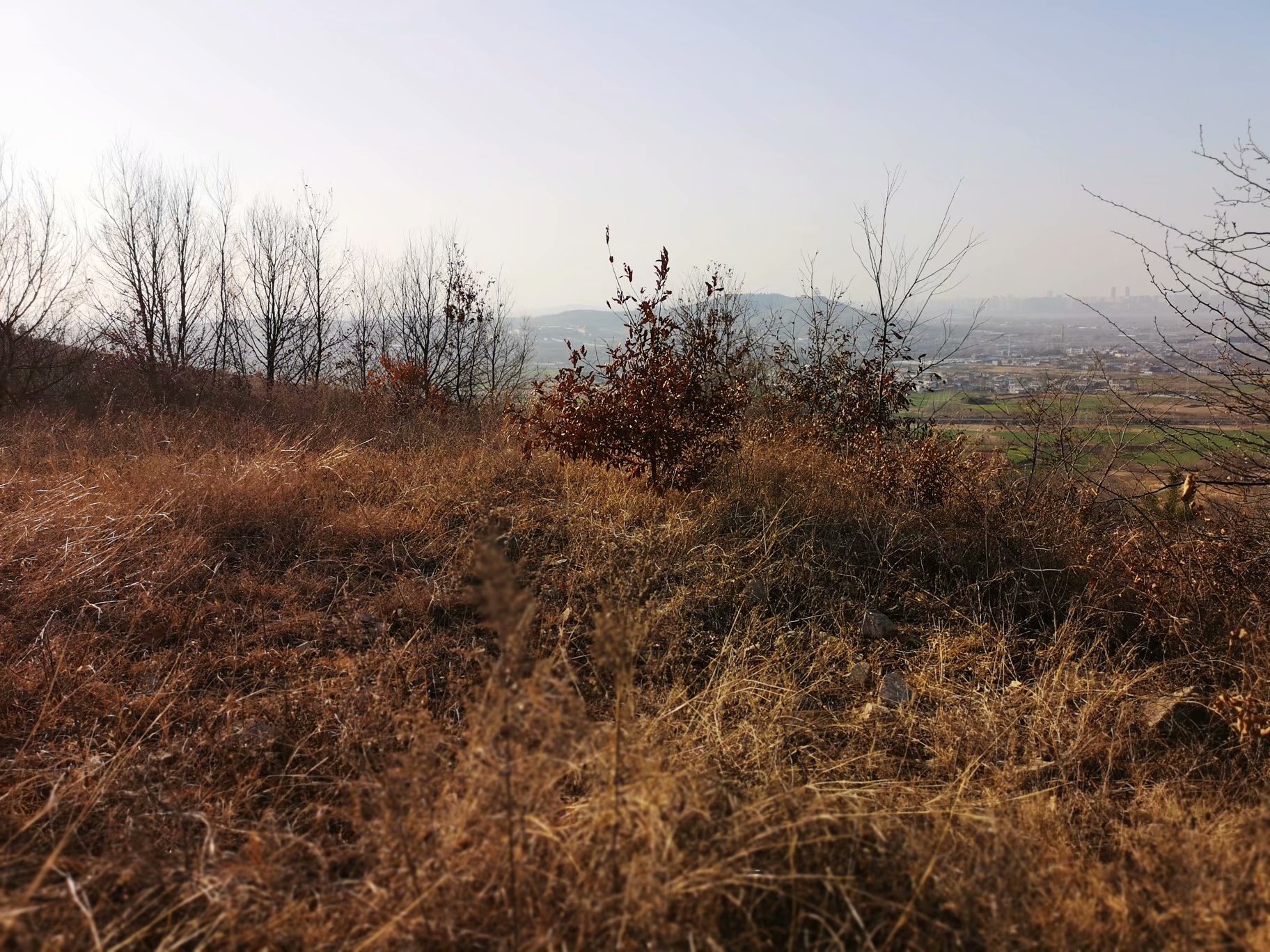 摩托周边旮旯游——探访蚌埠李楼鲁山寺遗址（上）