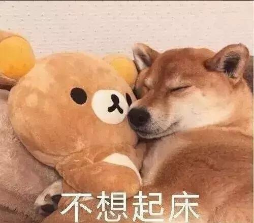 面馆开业免费5天，结果……沦陷了！网友：老板你后悔没？！