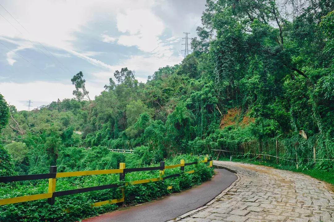 深圳银湖山游玩,深圳银湖有什么好玩的地方