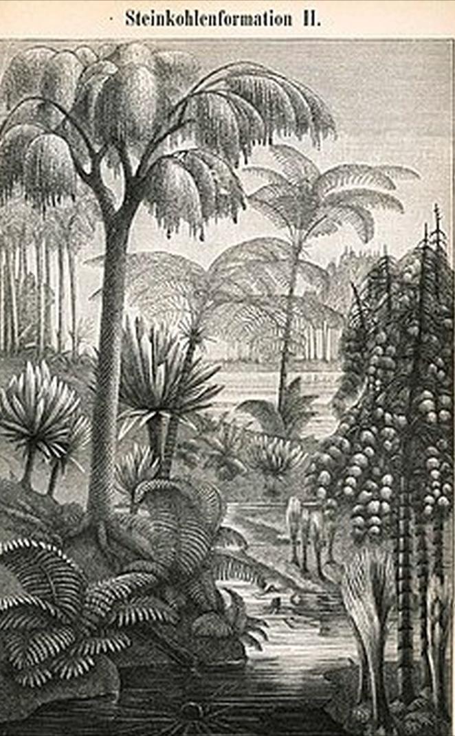 如果把地球46亿年历史压缩成1天，会发生哪些大事件？