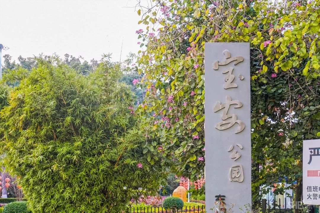 鍘夊浜嗘垜鐨勫ぇ閽﹀窞,鍘夊浜嗘垜鐨勫ぇ淇濆畾