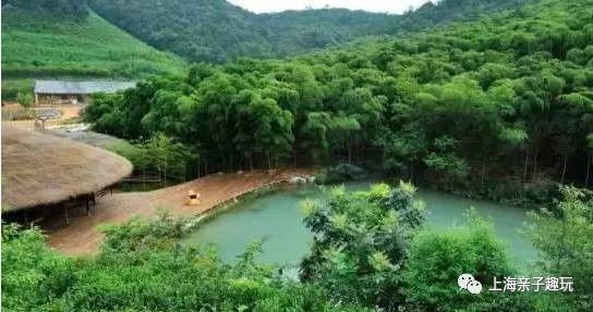 假期给大家送个福利,假期超强福利分享礼包