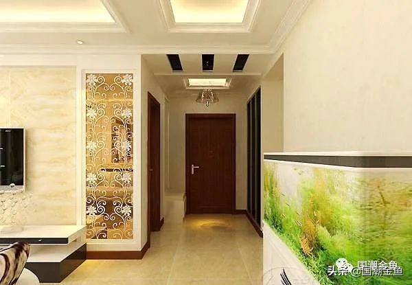 2020养鱼风水,青龙位养鱼风水