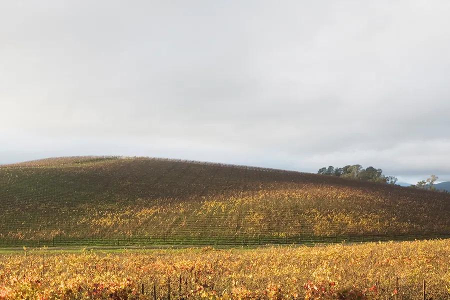 windowsxp最经典的壁纸,windowsxp经典壁纸