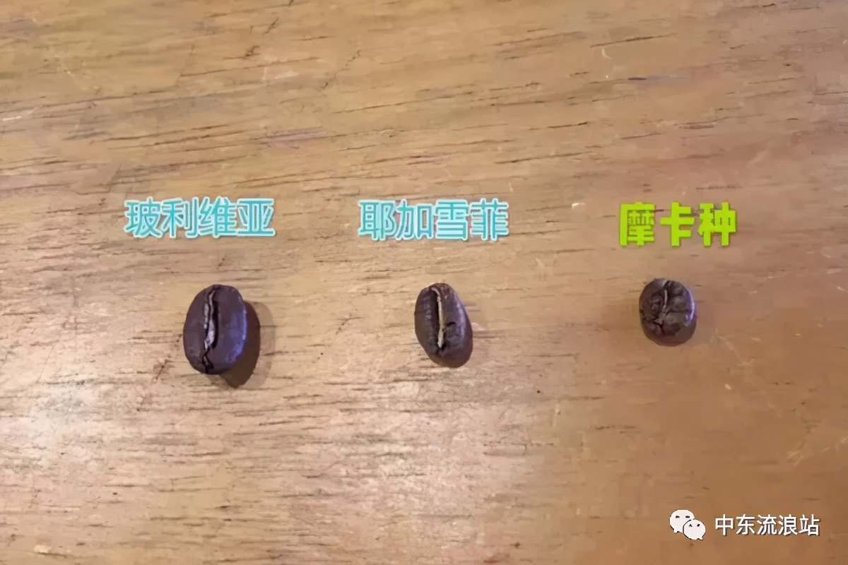 喝了那么多年的速溶咖啡,喝了这么多年咖啡你真的了解它吗