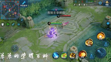 王者荣耀：国服榜一阿轲深度教学（三套连招/抓人细节/进场思路）