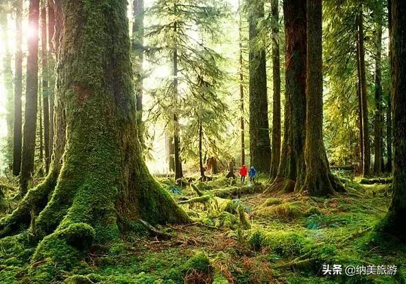 相约旅游景点大全,相约西双版纳旅游攻略