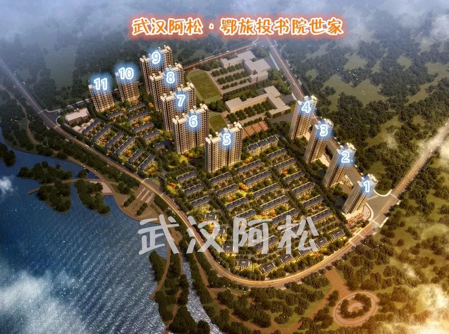 白沙洲新楼盘排行榜2020,白沙洲最火盘