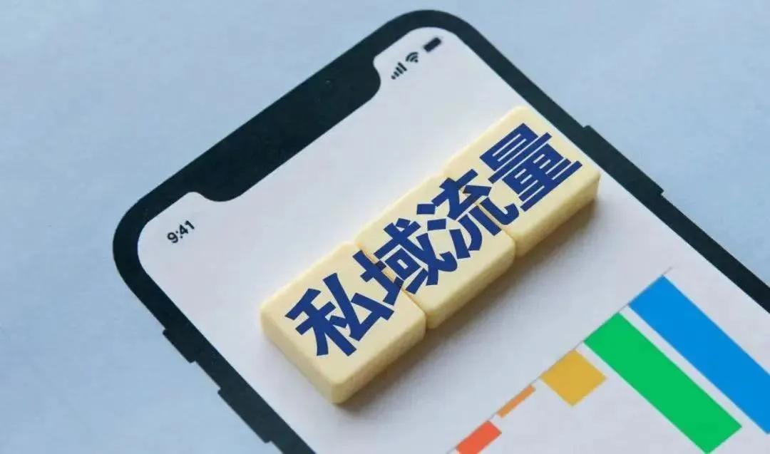 私域变现方案,tiktok东南亚私域变现