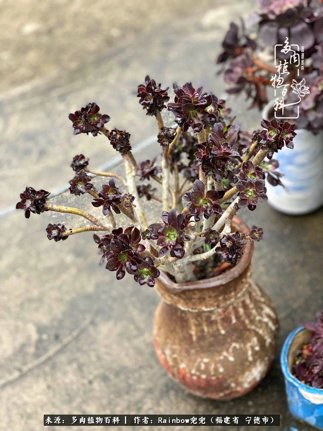 岁月无波澜余生不悲欢是啥意思,愿你岁月无波澜敬我余生无悲欢