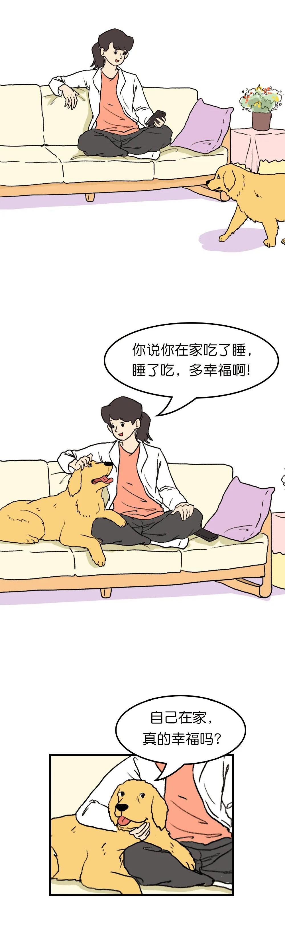 狗子在家来回踱步是什么原因,狗子为什么会很喜欢躲床底下睡觉