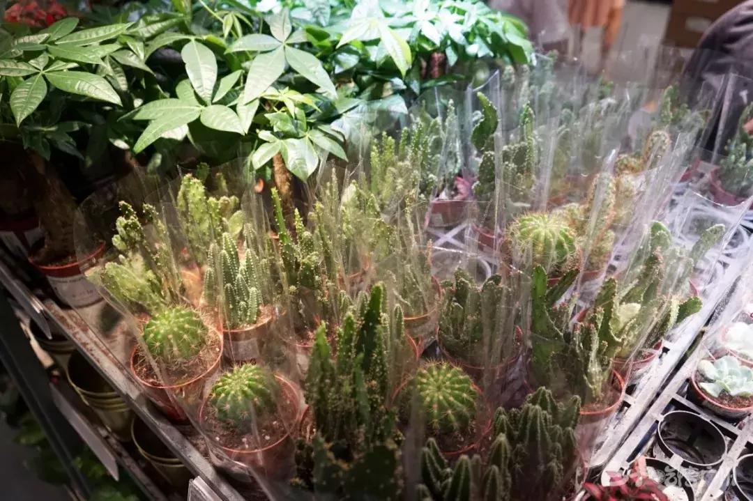 广州东宜家家居搬了吗,广州东的宜家要搬家吗