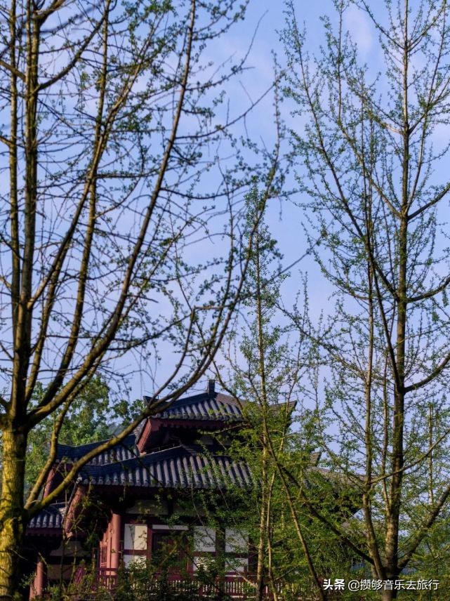 彭山新农村试点村名单,国家级十大乡村旅游示范点