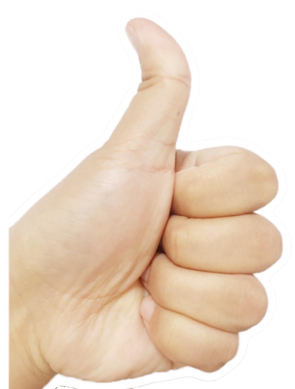 如何将word里最后一张空白页删除,word表格里面多空白页怎么删除