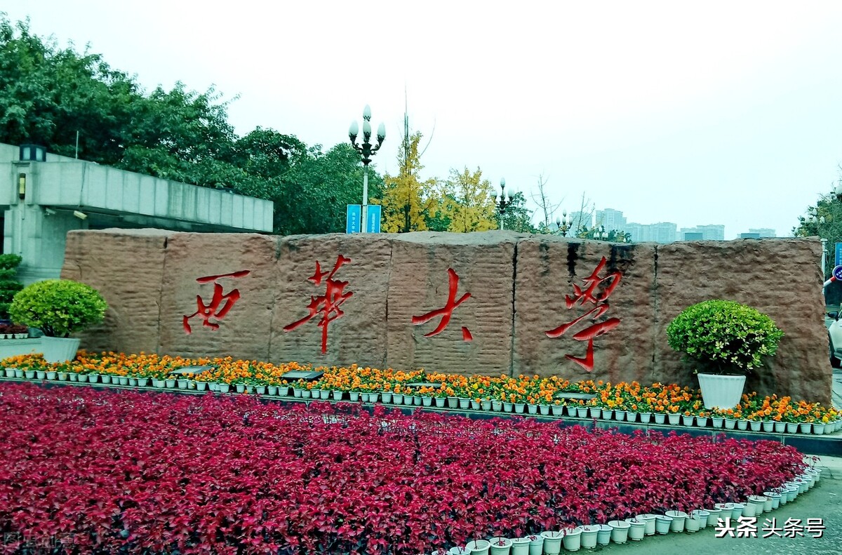 东华大学北华西华南华排名,东华大学西华大学