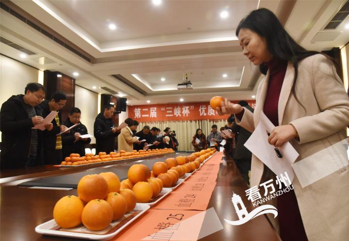 三峡柑橘展馆交易会,三峡柑橘国际交易会快报