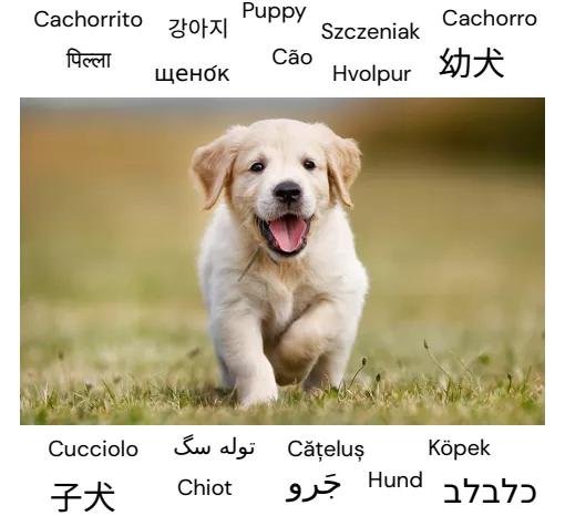 deepmind人工智能新突破,deepmind人工智能技术