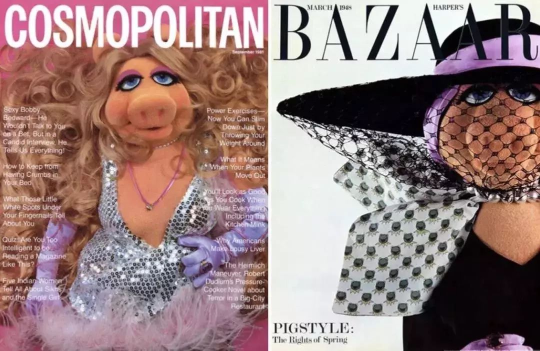 猪都拍时尚大片了，你还在穿妈妈给你买的红秋裤？