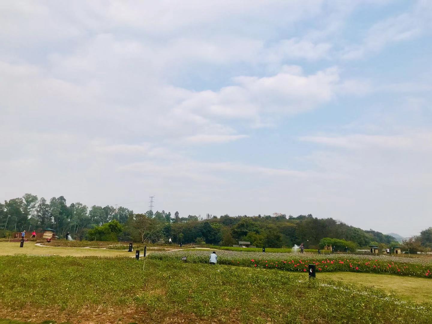 深圳观澜版画村的位置,观澜版画村还是版画基地