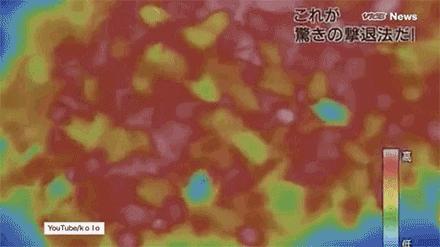 杀人蜂为什么那么可怕,杀人蜂到底有多厉害