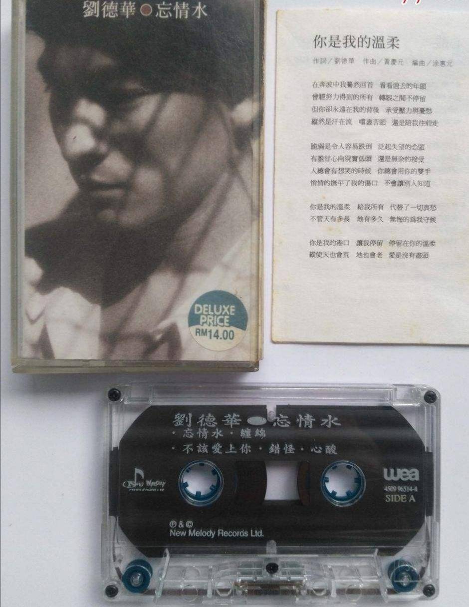 刘德华明星的成名之路解说,刘德华成名之路获奖视频