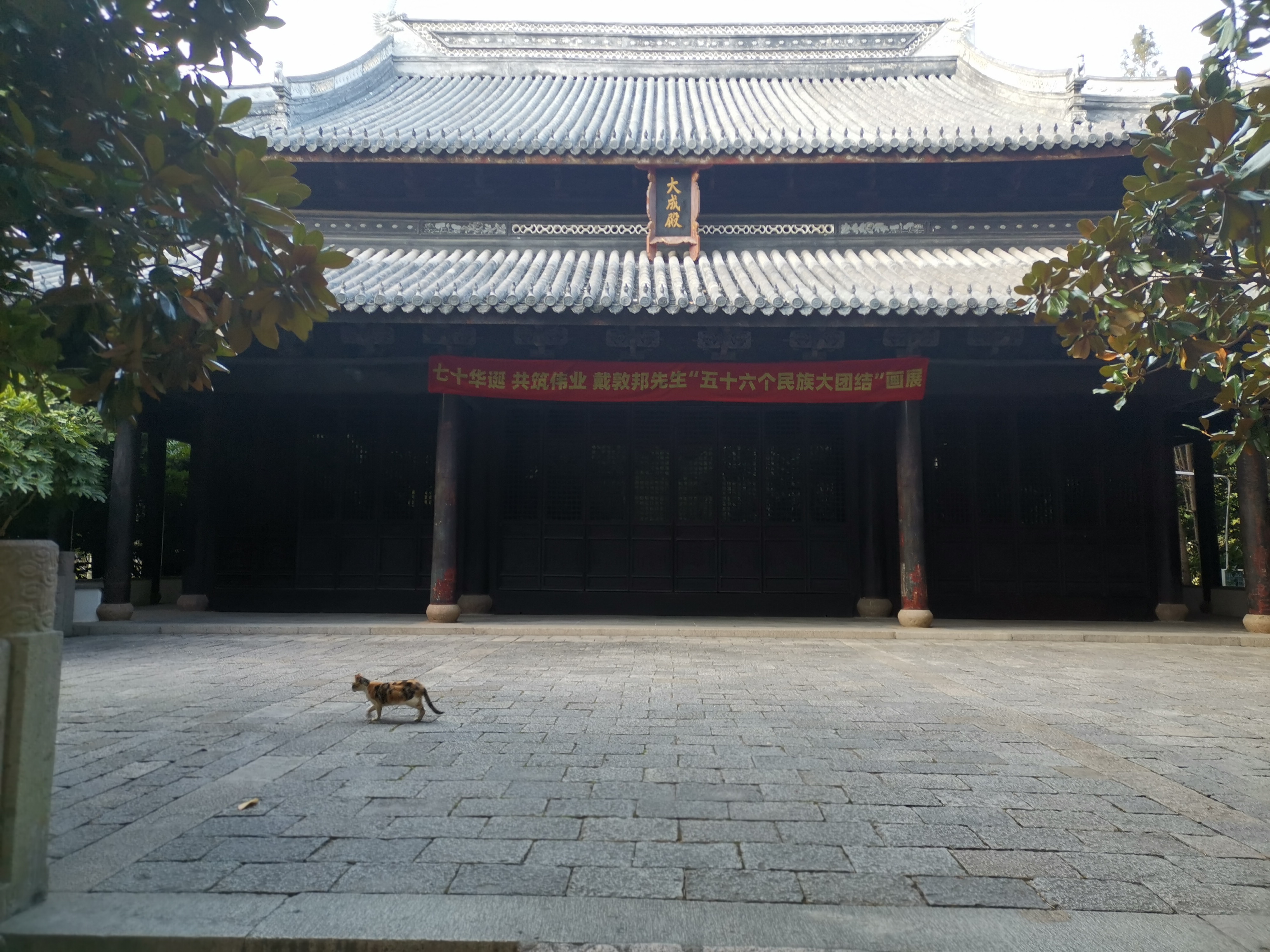 陈化成是个怎么样的人,陈化成照片